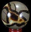Polished Septarian Sphere - Madagascar #67845-1